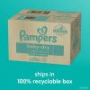 Pampers Baby-Dry Diapers Size 3, 210 Count